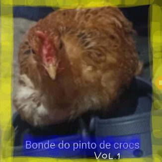Foto da capa: Pintinho Rebaixado Bonde Do Pinto de crocs Volume.1