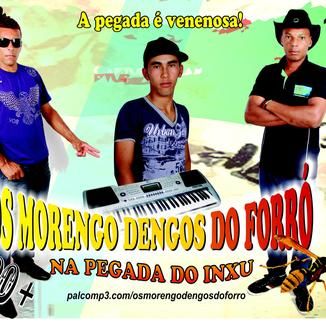 Foto da capa: OS MORENGODENGOS DO FORRO NA PEGADA DO INXU