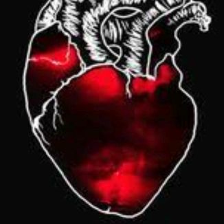 Foto da capa: Jesus Diréh