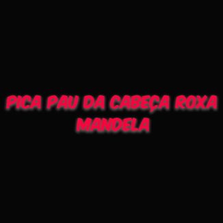 Foto da capa: Pica Pau da Cabeça Roxa Mandela
