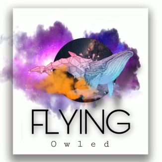 Foto da capa: Flying