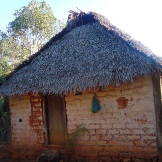 Foto da capa: Versenjando Com A Viola