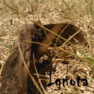 Foto da capa: Ignota