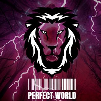 Foto da capa: Perfect World