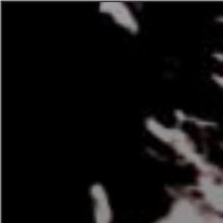 Foto da capa: novas emoções