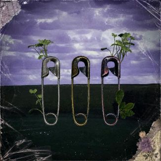 Foto da capa: SAFEPLACE