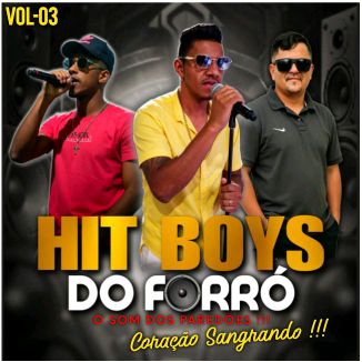 Foto da capa: Hit Boys Do Forró - Coração Sangrando