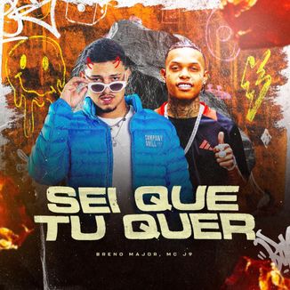 Foto da capa: Sei Que Tu Quer [ Funk Remix ]