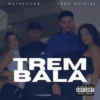 Foto da capa: TREM BALA