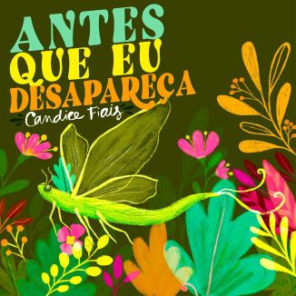 Foto da capa: Antes Que Eu Desapareça