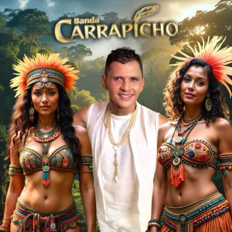 Foto da capa: Amazônia