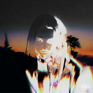 Foto da capa: Paraísos Artificiais