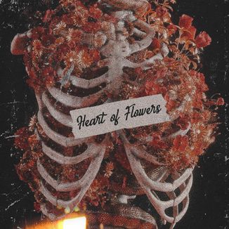 Foto da capa: Hearts Of Flowers