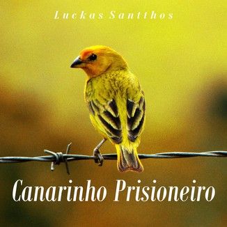 Foto da capa: Canarinho Prisioneiro
