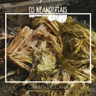 Foto da capa: Garapa de cana