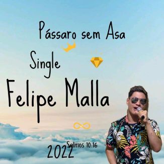 Foto da capa: Felipe Malla -Pássaro Sem Asa