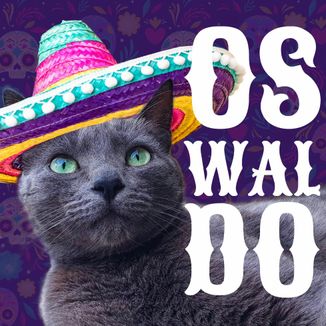 Foto da capa: Oswaldo