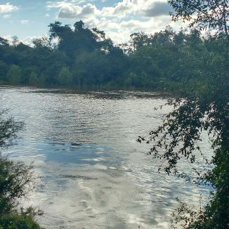 Foto da capa: De Campo e Rio
