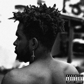 Foto da capa: Lobo Mau