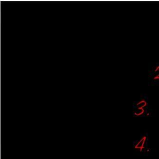 Foto da capa: 24 horas de amor