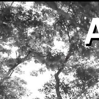 Foto da capa: Single - Amizade