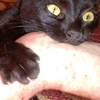 Foto da capa: Infância