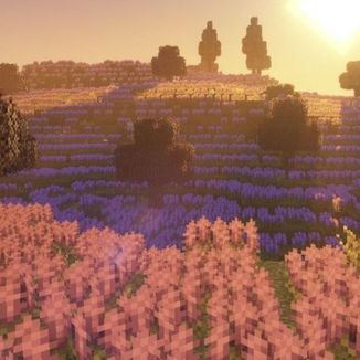 Foto da capa: É o Mine