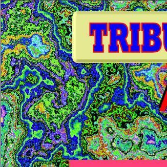 Foto da capa: TRIBUTO À CULTURA MUSICAL POPULAR