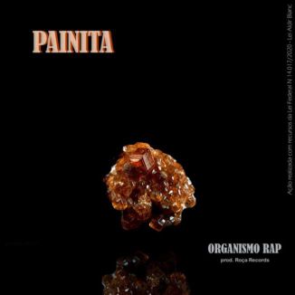 Foto da capa: PAINITA
