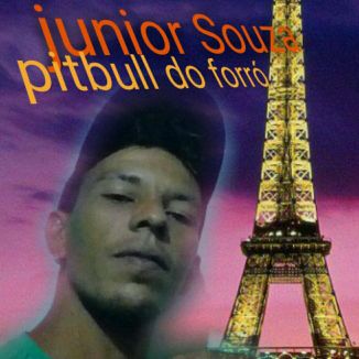 Foto da capa: Pitbull Rasgando Tudo.