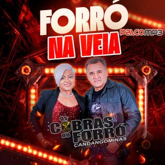 Foto da capa: Forró na Veia