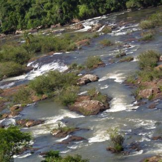 Foto da capa: recanto raiz