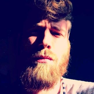 Foto da capa: Michel F.M. - Pairar Incansável Da Fênix Sublime