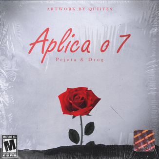 Foto da capa: Aplica o 7