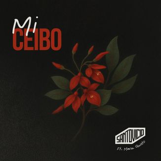 Foto da capa: Mi Ceibo (ft. Manu Quieto)