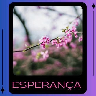 Foto da capa: Esperança