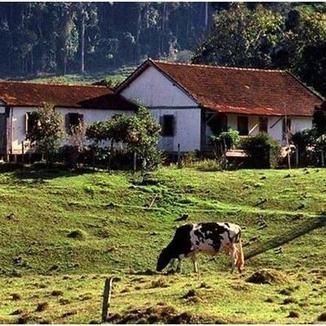 Foto da capa: PARCEIRO VALMIR PEREIRA