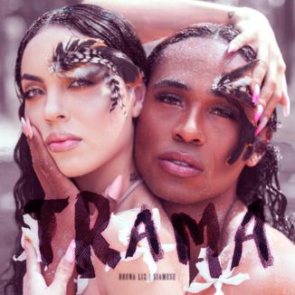 Foto da capa: Trama