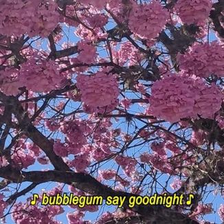 Foto da capa: bubblegum say goodnight