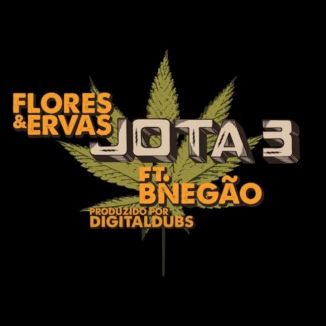 Foto da capa: Flores & Ervas - Jota 3 feat. BNegão