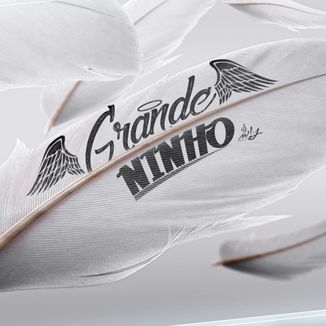Foto da capa: Grande Ninho