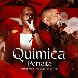 Foto da capa: Quimica Perfeita