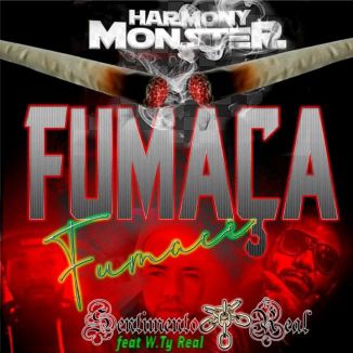 Foto da capa: Fumaça Fumacê