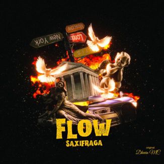Foto da capa: Flow Saxifraga