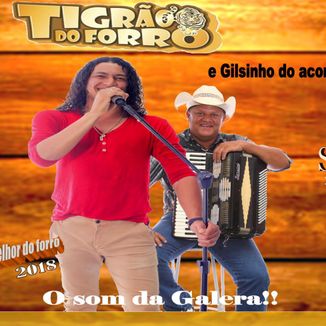 Foto da capa: PIZEIRO