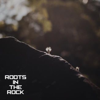 Foto da capa: Roots In The Rock