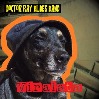 Foto da capa: Viralata