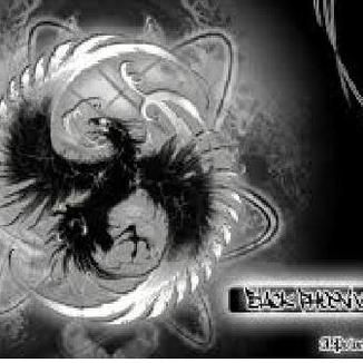 Foto da capa: The Black Phoenix - Acústico em casa I