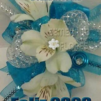 Foto da capa: Paulo Rap