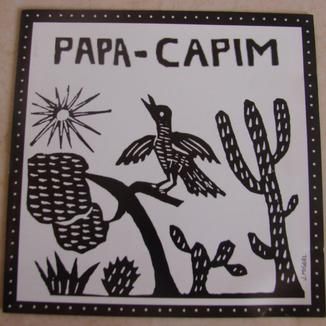 Foto da capa: Papa-Capim